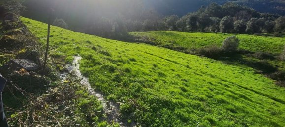  قطعة أرض في Rio Douro, Portugal 8500متر مربع رقم 40019 8