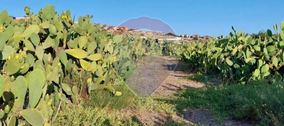 25699m² Land in Paternò, Italy No. 362053 5