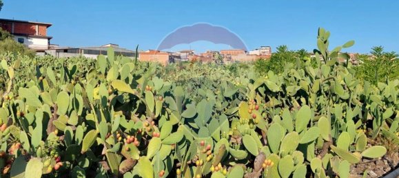 25699m² Land in Paternò, Italy No. 362053 15