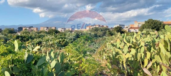 25699m² Land in Paternò, Italy No. 362053 21