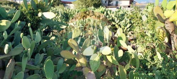 25699m² Land in Paternò, Italy No. 362053 8