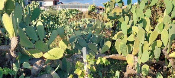 25699m² Land in Paternò, Italy No. 362053 6