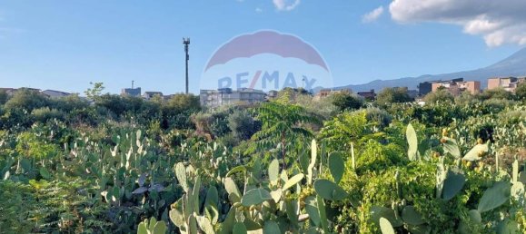 25699m² Land in Paternò, Italy No. 362053 20
