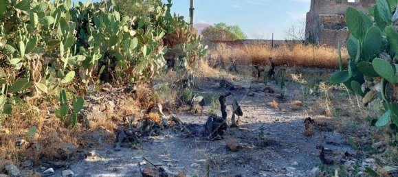 25699m² Land in Paternò, Italy No. 362053 12