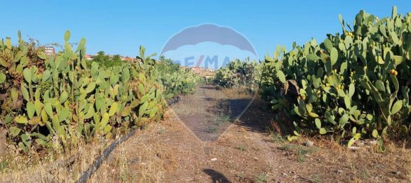 25699m² Land in Paternò, Italy No. 362053 22