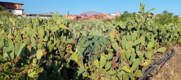 25699m² Land in Paternò, Italy No. 362053 14