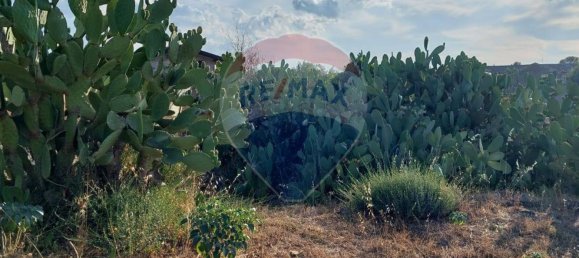 25699m² Land in Paternò, Italy No. 362053 19