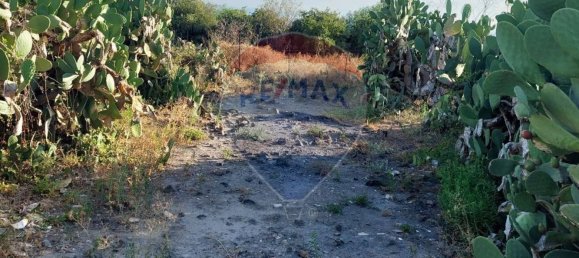 25699m² Land in Paternò, Italy No. 362053 9