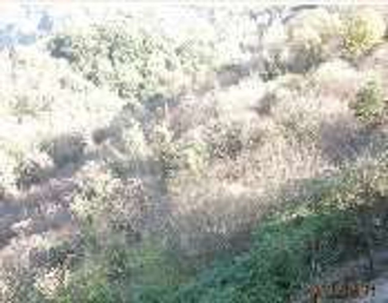  Land in Nemi, Italy No. 323793