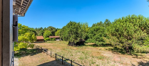 5 bedrooms House in Sanguinet, France No. 297688 15