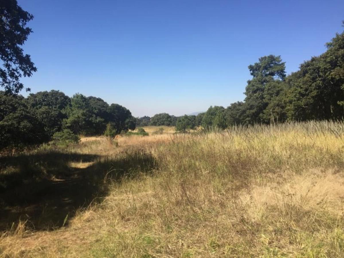  Land in Ciudad Nicolas Romero, Mexico No. 203968