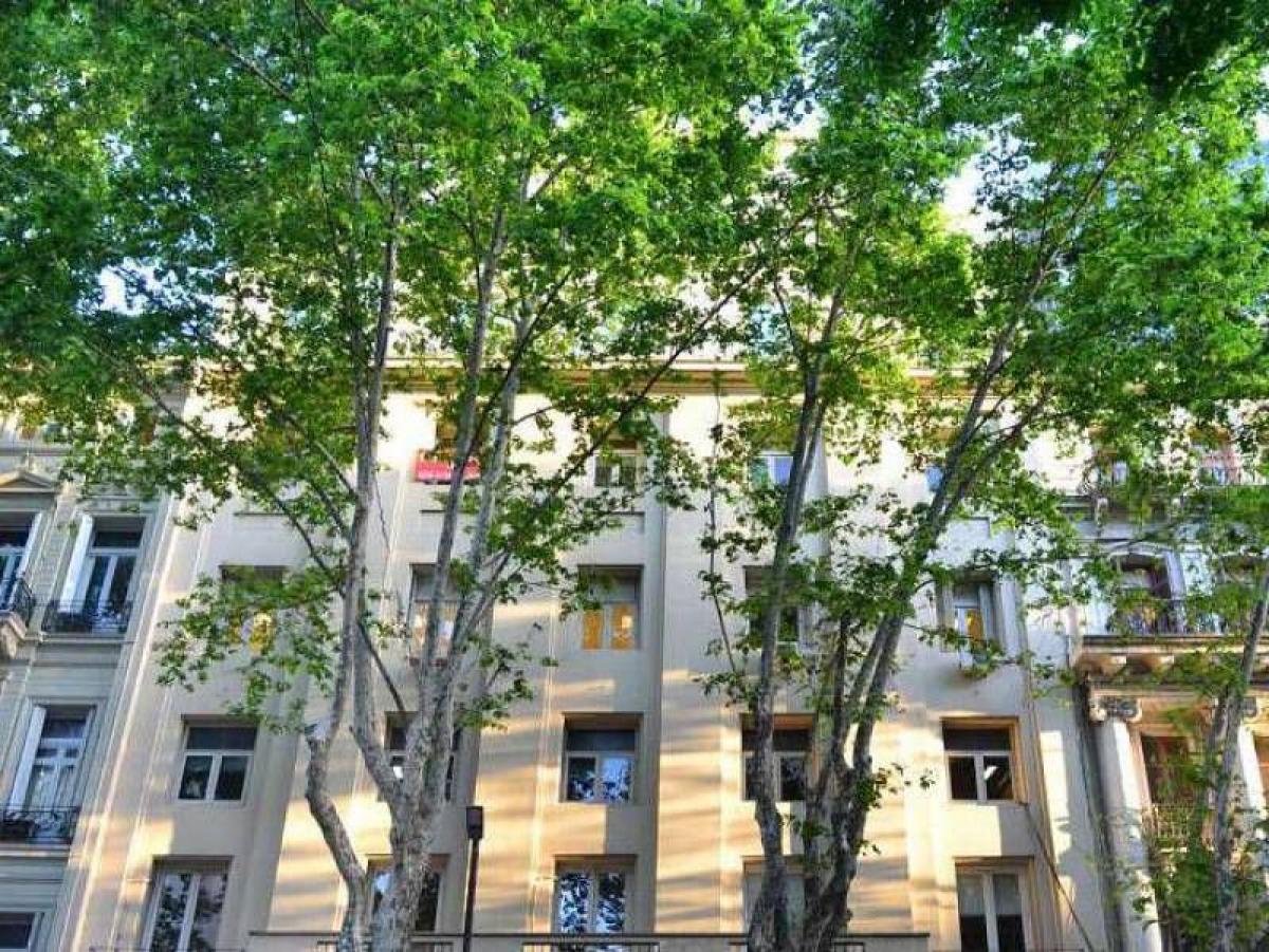 326m² Office in Buenos Aires, Argentina No. 105788