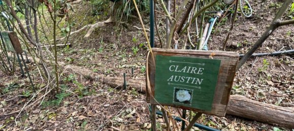 Grundstück in Quiliano, Italy 4000m², Nr. 301640 9