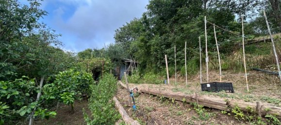 Grundstück in Quiliano, Italy 4000m², Nr. 301640 42