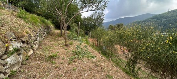 Grundstück in Quiliano, Italy 4000m², Nr. 301640 23