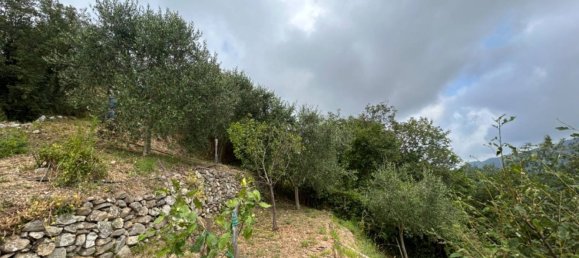 Grundstück in Quiliano, Italy 4000m², Nr. 301640 21