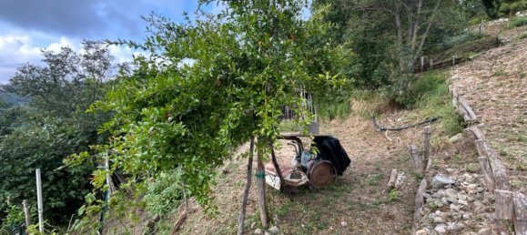 Grundstück in Quiliano, Italy 4000m², Nr. 301640 46