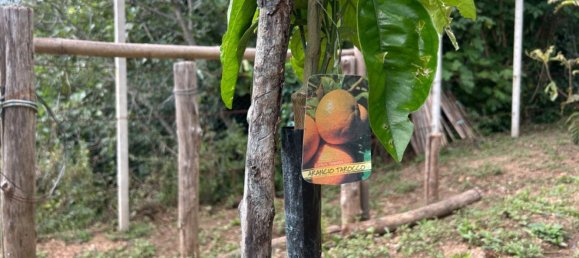 Grundstück in Quiliano, Italy 4000m², Nr. 301640 38