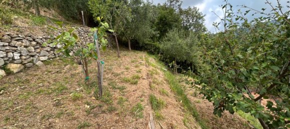 Grundstück in Quiliano, Italy 4000m², Nr. 301640 20