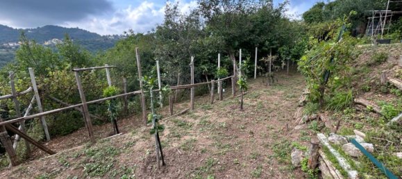 Grundstück in Quiliano, Italy 4000m², Nr. 301640 34