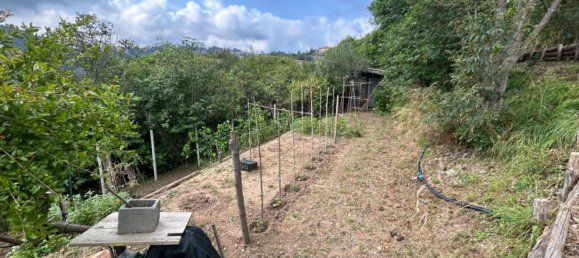 Grundstück in Quiliano, Italy 4000m², Nr. 301640 25