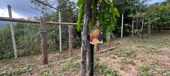 Grundstück in Quiliano, Italy 4000m², Nr. 301640 36