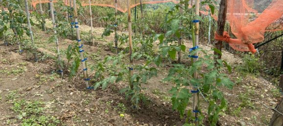 Grundstück in Quiliano, Italy 4000m², Nr. 301640 29