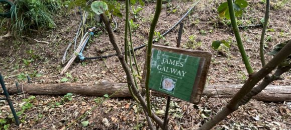 Grundstück in Quiliano, Italy 4000m², Nr. 301640 11