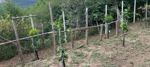 Grundstück in Quiliano, Italy 4000m², Nr. 301640 32