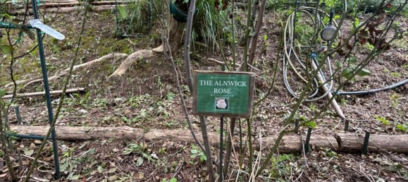 Grundstück in Quiliano, Italy 4000m², Nr. 301640 12