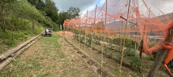 Grundstück in Quiliano, Italy 4000m², Nr. 301640 27