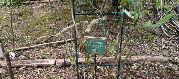 Grundstück in Quiliano, Italy 4000m², Nr. 301640 15