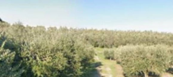 Квартира с 2 спальнями в Монте Урано, Италия № 342714 2