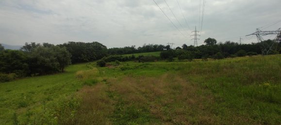 5000m² Land in Moncalieri, Italy No. 150237 6