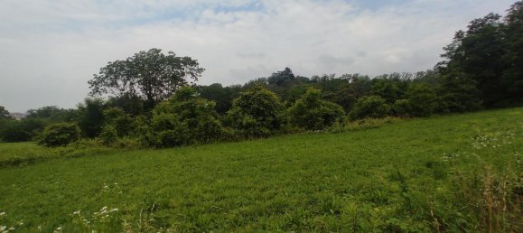 5000m² Land in Moncalieri, Italy No. 150237 3