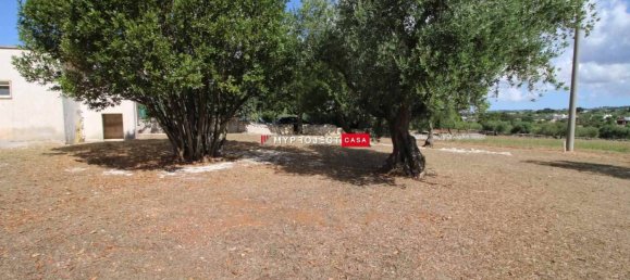 Villa de 3 dormitorios en Cisternino, Italy No. 340218 5