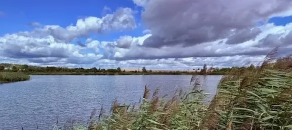 Дом с 1 спальней в Уккермарк, Германия № 310442 15