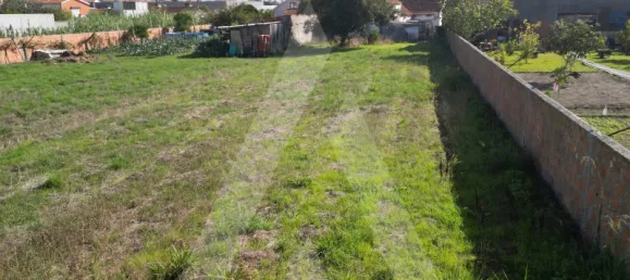 Grundstück in Ilhavo, Portugal, Nr. 89425 14