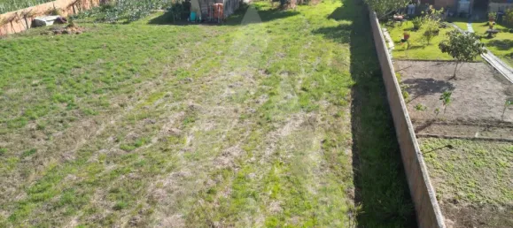 Grundstück in Ilhavo, Portugal, Nr. 89425 16