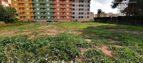  قطعة أرض في Castellon, Spain 899متر مربع رقم 124569 20