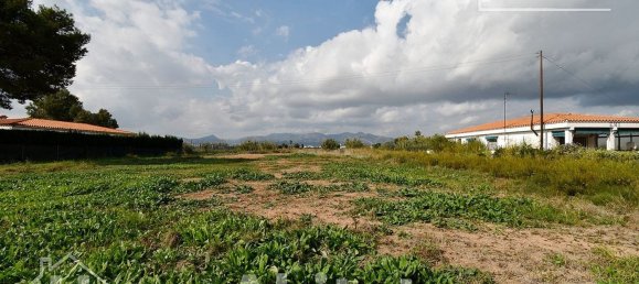  قطعة أرض في Castellon, Spain 899متر مربع رقم 124569 8