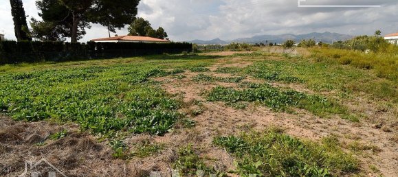  قطعة أرض في Castellon, Spain 899متر مربع رقم 124569 25