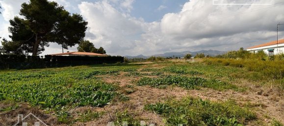  قطعة أرض في Castellon, Spain 899متر مربع رقم 124569 27