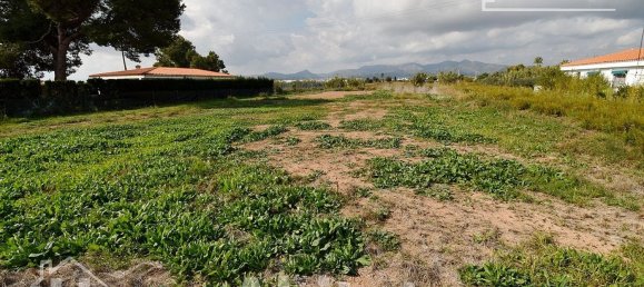  قطعة أرض في Castellon, Spain 899متر مربع رقم 124569 28