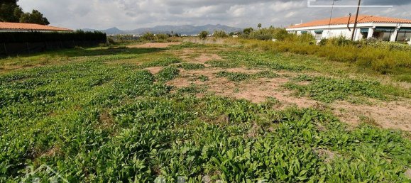  قطعة أرض في Castellon, Spain 899متر مربع رقم 124569 9