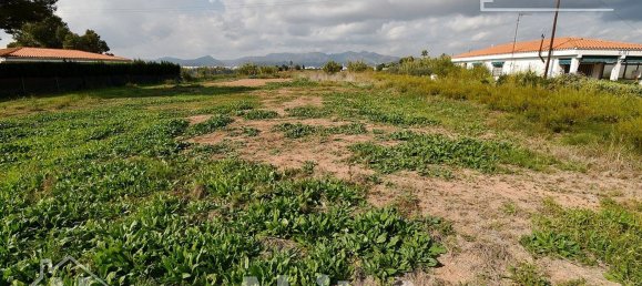  قطعة أرض في Castellon, Spain 899متر مربع رقم 124569 7