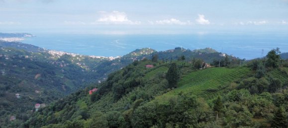 Villa 6+2 em Surmene, Turkey N.º 40353 20