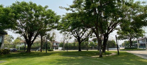 3 bedrooms Cafe / restaurant in Chiang Mai, Thailand No. 12901 30