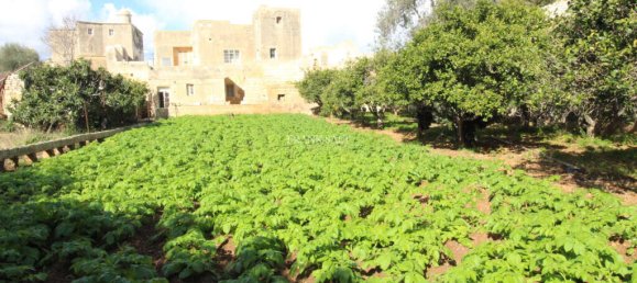 3 bedrooms Farm in Lija, Malta No. 199 29