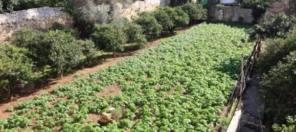 3 bedrooms Farm in Lija, Malta No. 199 16